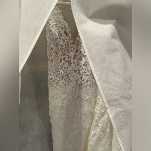 NEVER WORN 2019 Pronovias Malma Wedding Dress with Cathedral Veil Included - Picture 11 of 11